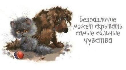 Открытка, фраза, безразличие может скрывать самые сильные чувства. Открытки Открытка, картинка, фразы, фраза, фразочка, фразочки, прикол, прикольная открытка, цитата, цитаты, слова о женщинах, позитив, позитивные открытки, прикольные картинки скачать бесплатно онлайн Открытка, фраза, безразличие может скрывать самые сильные чувства. Открытки Открытка, картинка, фразы, фраза, фразочка, фразочки, прикол, прикольная открытка, цитата, цитаты, слова о женщинах, позитив, позитивные открытки, прикольные картинки скачать бесплатно онлайн