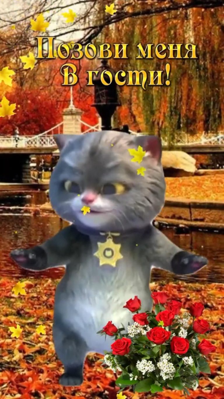 Позови меня в гости! Позови меня в гости!
