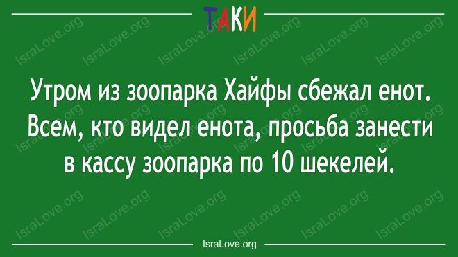 15 удачных открыток с еврейским юмором 15 удачных открыток с еврейским юмором