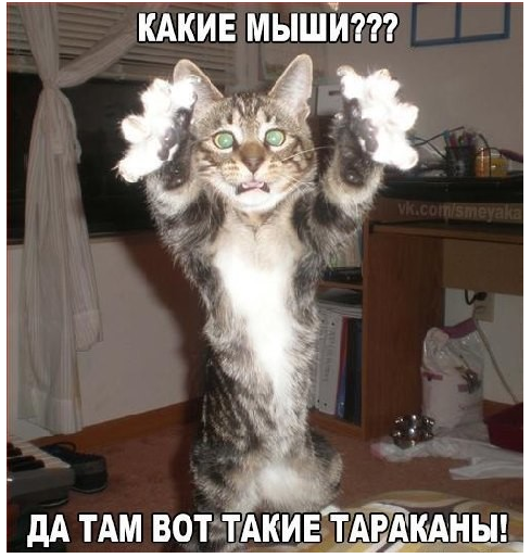Одноклассники Одноклассники