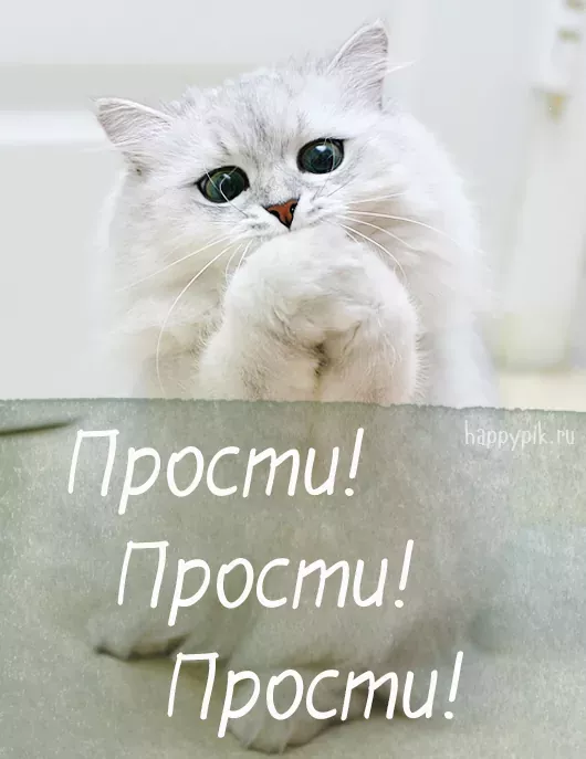 Картинки с надписью Прости – Извини меня – скачать Картинки с надписью Прости – Извини меня – скачать