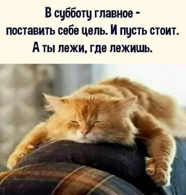 В субботу главное – поставить себе цель. И пусть стоит. Аты лежи, где лежишь. – АйДаПрикол В субботу главное – поставить себе цель. И пусть стоит. Аты лежи, где лежишь. – АйДаПрикол