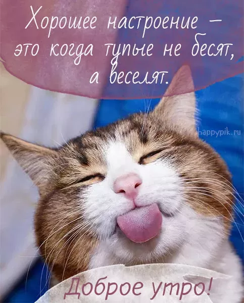 Необычные картинки С добрым утром 💌✨☕ Необычные картинки С добрым утром 💌✨☕