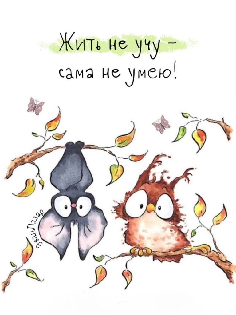 Жить не учу – сама не умею! Жить не учу – сама не умею!