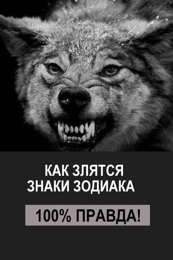 Знаки зодиака и гороскоп Знаки зодиака и гороскоп