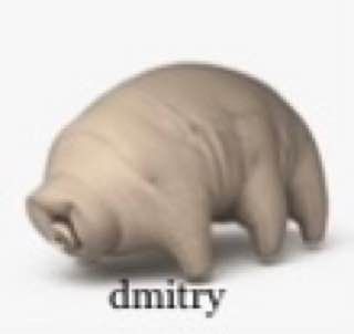 tardigrade Dmitry tardigrade Dmitry