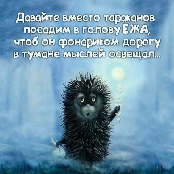 картинки смешные504 картинки смешные504