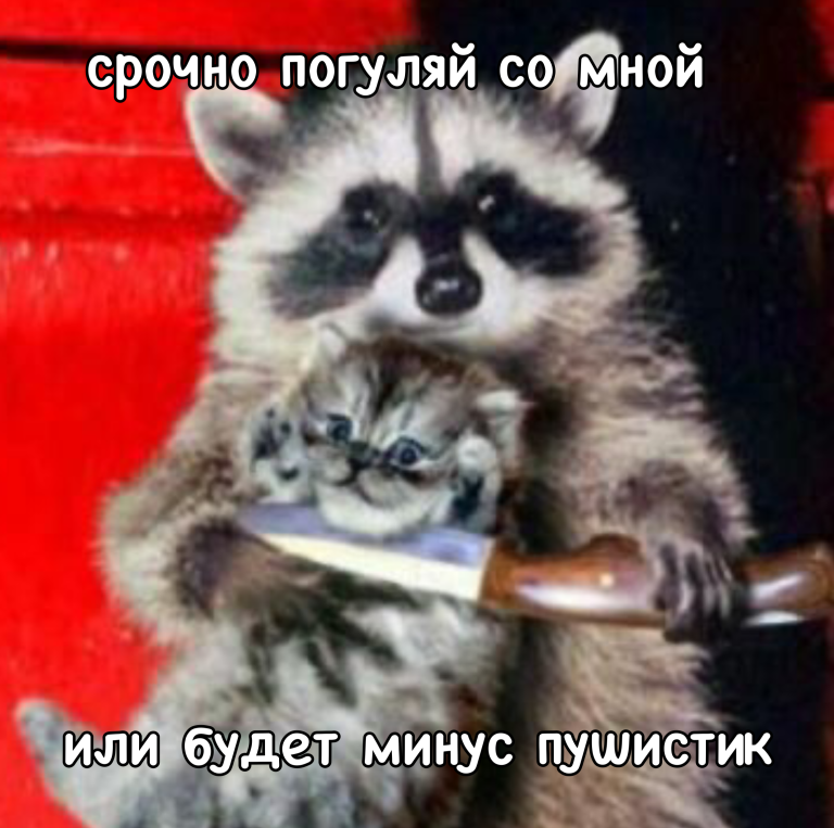 идем гулять идем гулять