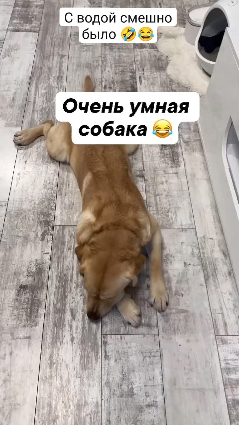 С водой смешно было 🤣😂 С водой смешно было 🤣😂