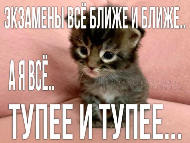 Остановите эту деградацию Остановите эту деградацию