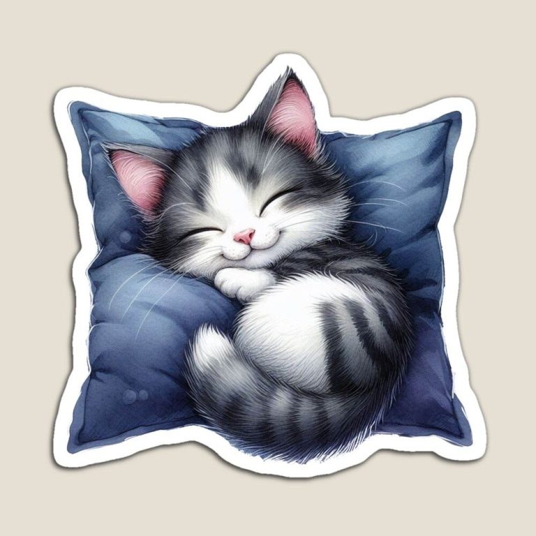Cute cat sleeping on pillow magnet