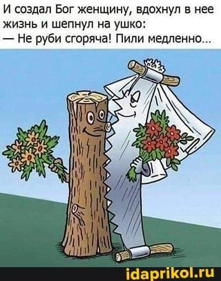 И создал Бог женщину, вдохнул в нее жизнь и шепнул на ушко: – Не руби сгоряча! Пили медленно… – АйДаПрикол И создал Бог женщину, вдохнул в нее жизнь и шепнул на ушко: – Не руби сгоряча! Пили медленно… – АйДаПрикол