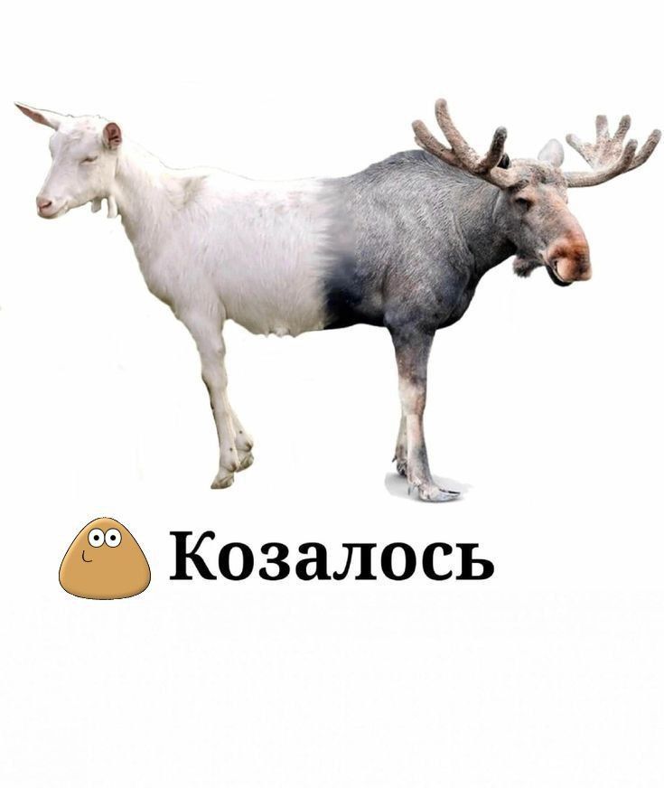 покозалось. покозалось.