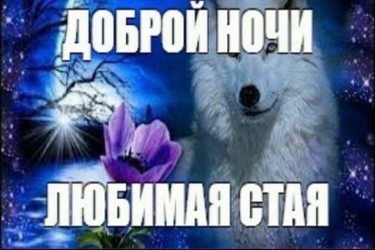 Название пина Название пина