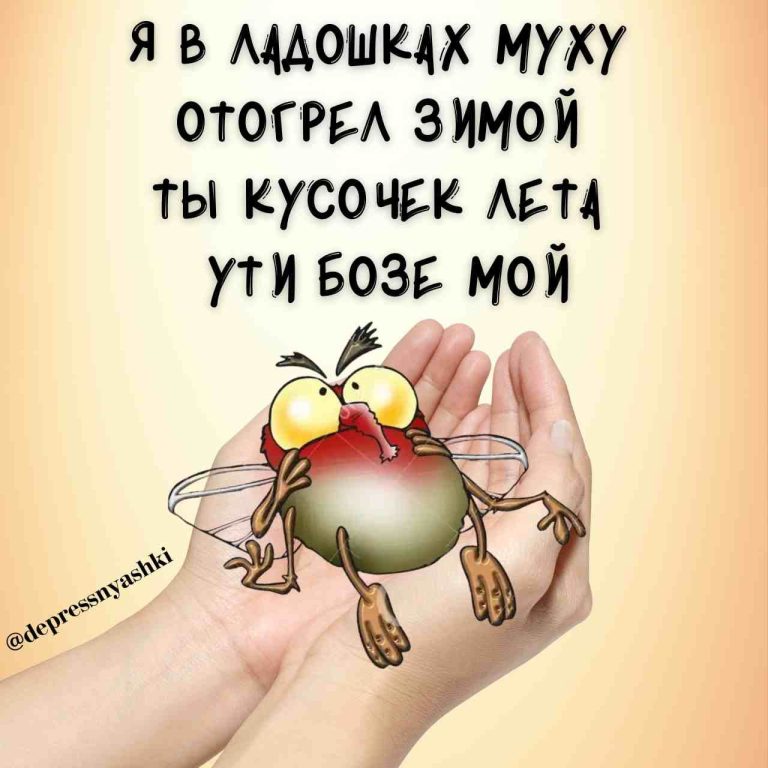 Стишок мухалюбный. Стишок мухалюбный.