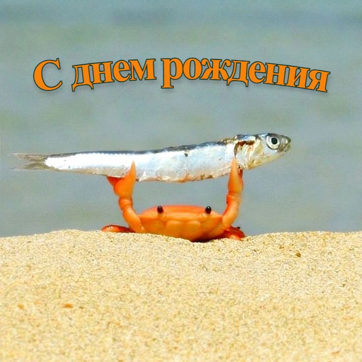 С днем рождения С днем рождения