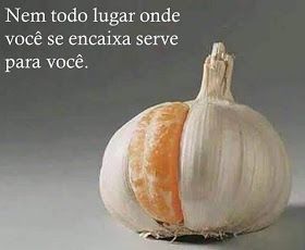 Nem todo lugar onde você se encaixa serve para você. Nem todo lugar onde você se encaixa serve para você.