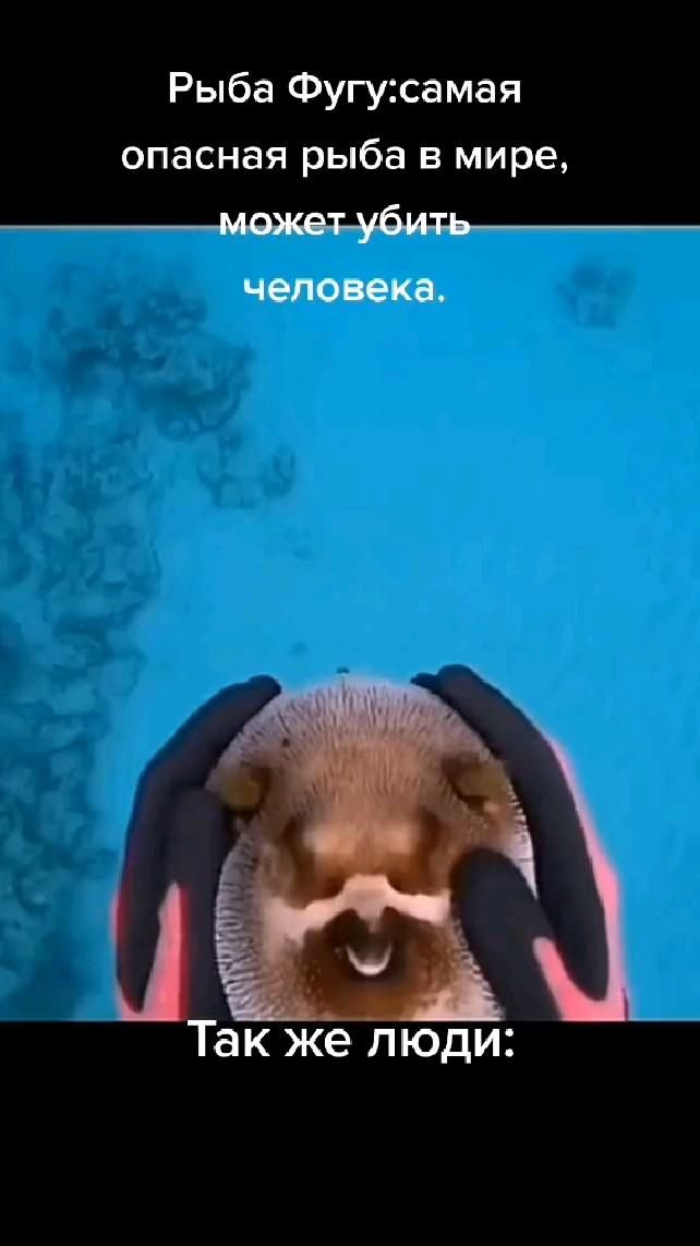 рыба это я, а руки мои нервы рыба это я, а руки мои нервы