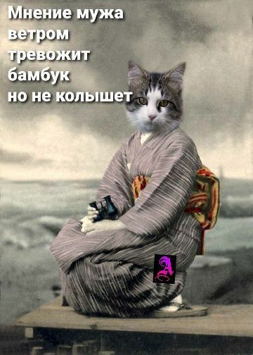 Женский юмор Женский юмор