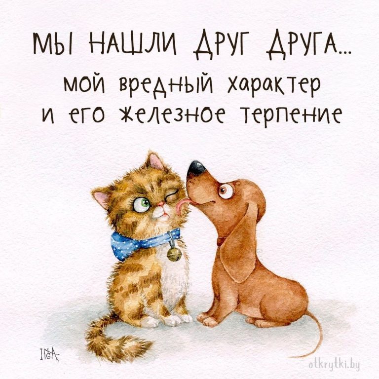 Красивые и прикольные картинки про ХАРАКТЕР с надписями и смыслом Красивые и прикольные картинки про ХАРАКТЕР с надписями и смыслом