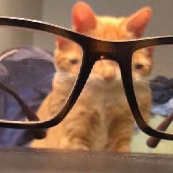 21 Curious Images That Will Confound You. 21 Curious Images That Will Confound You.