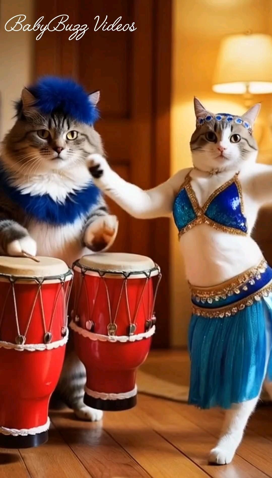 Feline Funk: Groovy Cats Get Down to the Beat Feline Funk: Groovy Cats Get Down to the Beat