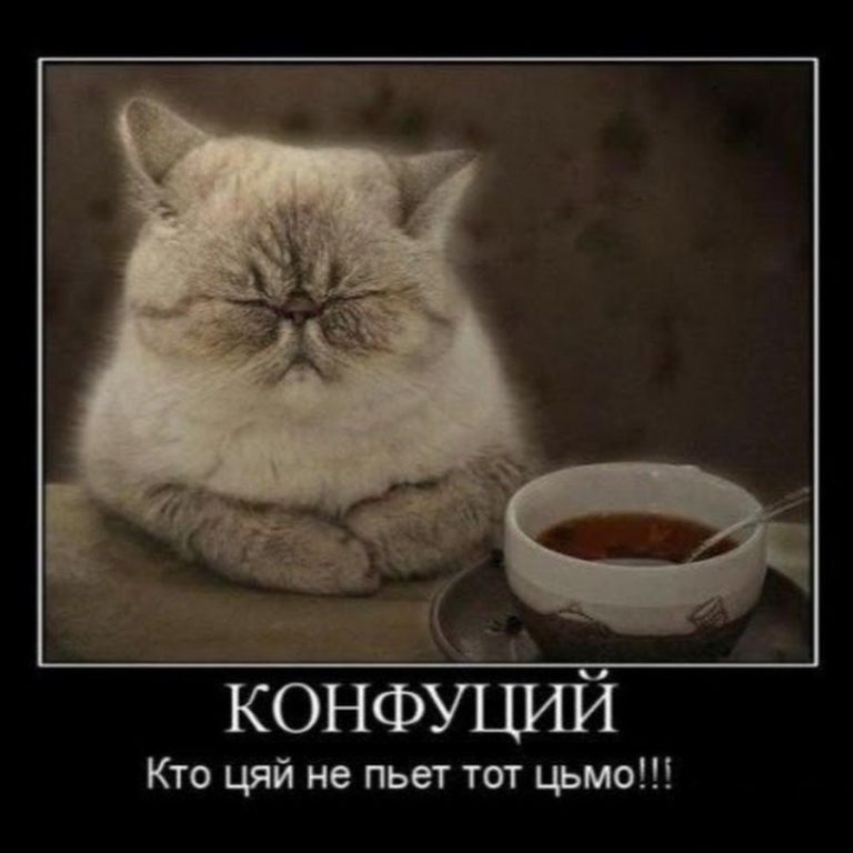 Секрет, который имел в виду старик Конфуций Секрет, который имел в виду старик Конфуций