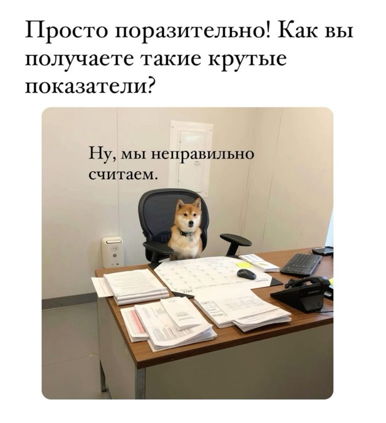 Мем с собачкой Мем с собачкой