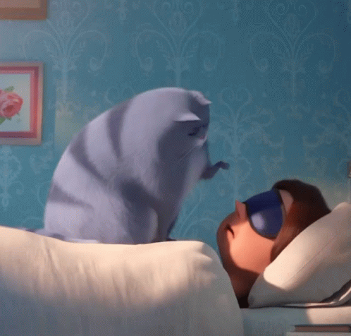 Knocking Poking GIF – Knocking Poking Tap – Discover & Share GIFs Knocking Poking GIF – Knocking Poking Tap – Discover & Share GIFs