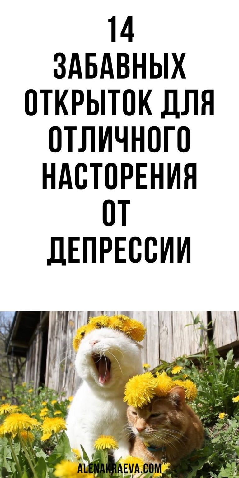 Забавные открытки для отличного насторения, юмор | alenakraeva.com Забавные открытки для отличного насторения, юмор | alenakraeva.com