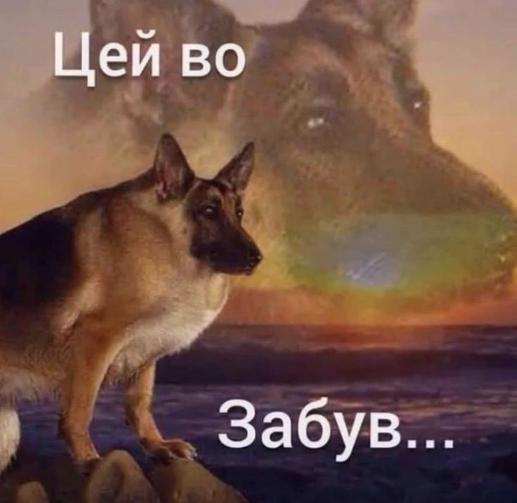 крапля (@kraplia) on X крапля (@kraplia) on X