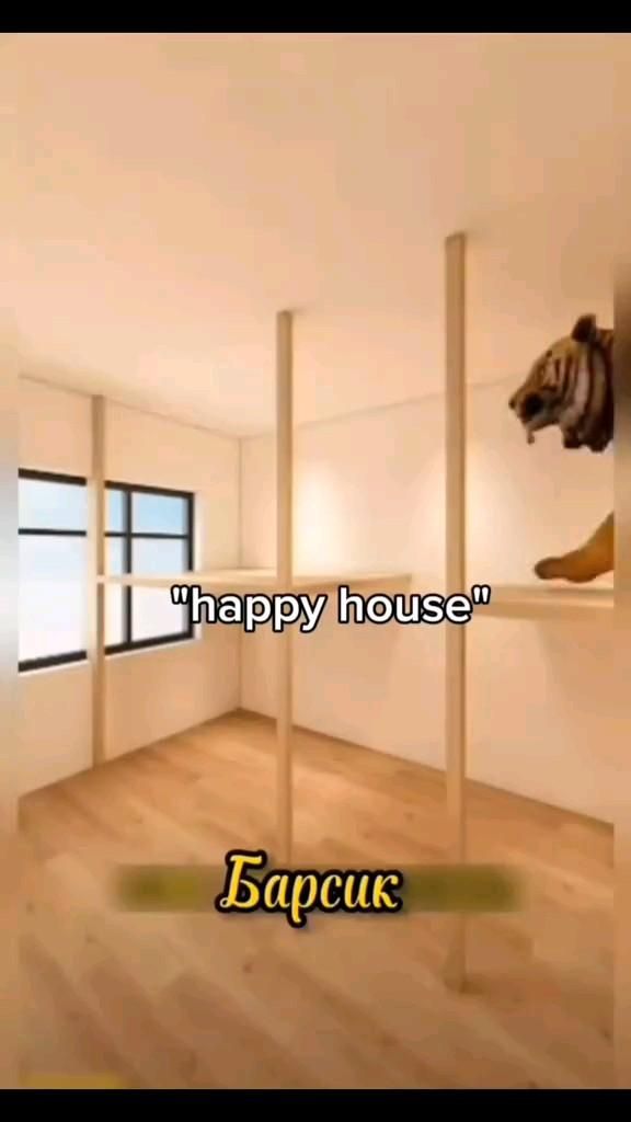happy house 😭 happy house 😭