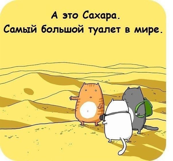 юмор, смешные картинки