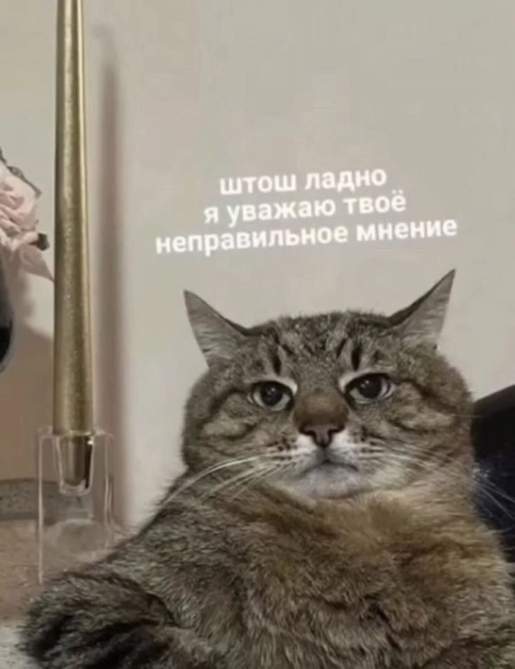 я сохраняю мемы и радуюсь жизни. Запись со стены. я сохраняю мемы и радуюсь жизни. Запись со стены.