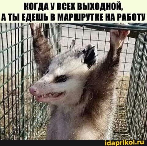 НОГДА У ВСЕК ВЫХОДНОЙ, А ТЫ ЕДЕШЬ ШРУТНЕ НА РАБОТУ – АйДаПрикол НОГДА У ВСЕК ВЫХОДНОЙ, А ТЫ ЕДЕШЬ ШРУТНЕ НА РАБОТУ – АйДаПрикол