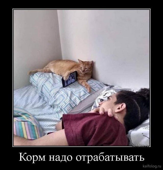 Лучшие демотиваторы недели (30 картинок) Лучшие демотиваторы недели (30 картинок)