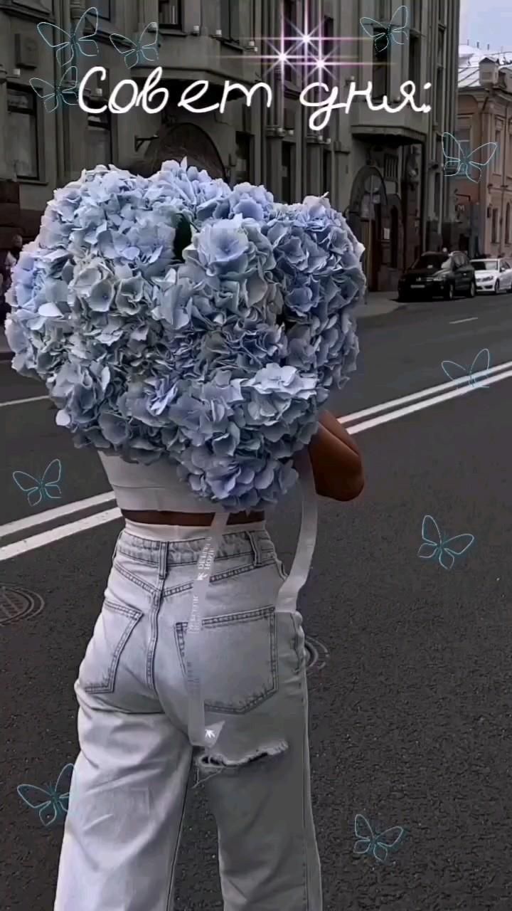 Совет дня: Совет дня: