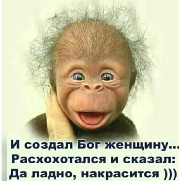 Российский Сервис Онлайн-Дневников Российский Сервис Онлайн-Дневников
