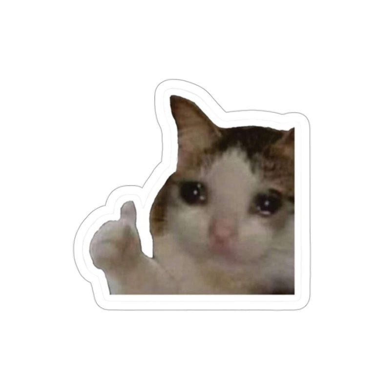 Autocollant en vinyle Crying Cat Thumbs Up, Autocollant drôle, Autocollant Chat, Autocollant Meme Autocollant en vinyle Crying Cat Thumbs Up, Autocollant drôle, Autocollant Chat, Autocollant Meme