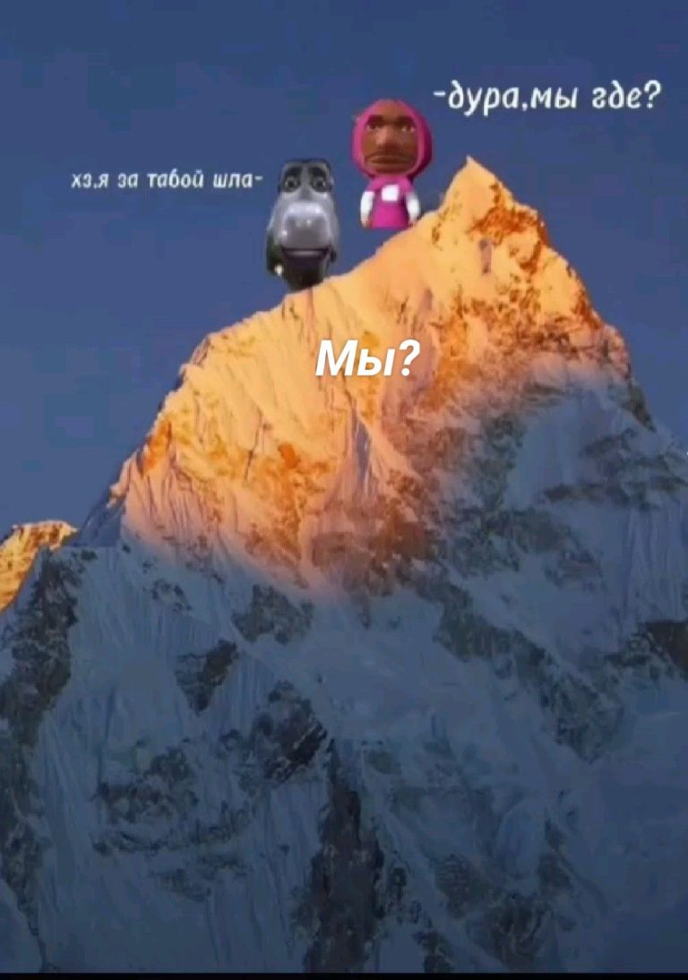 Мы?