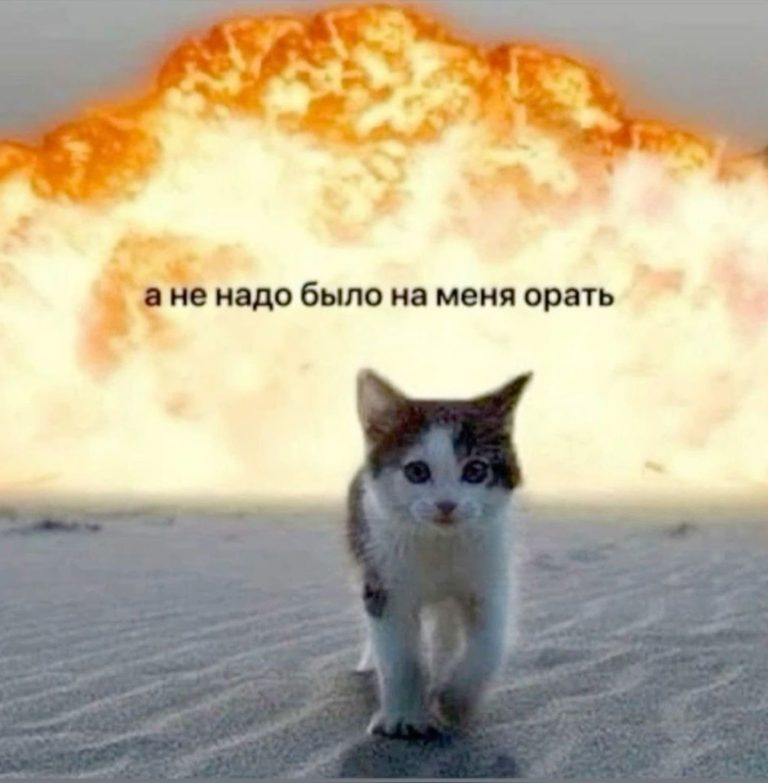 Π±ΠΎΠ»ΡΡΠ΅ Π½Π΅ ΠΎΡΠΈΡΠ΅ Π½Π° ΠΊΠΎΡΠΎΠ² Π±ΠΎΠ»ΡΡΠ΅ Π½Π΅ ΠΎΡΠΈΡΠ΅ Π½Π° ΠΊΠΎΡΠΎΠ²