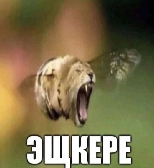 eblo p4elotigra oryot ESHKERE eblo p4elotigra oryot ESHKERE