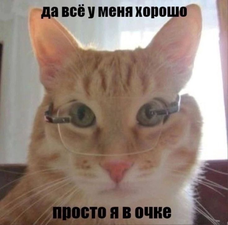 кисик в очке? хмм кисик в очке? хмм