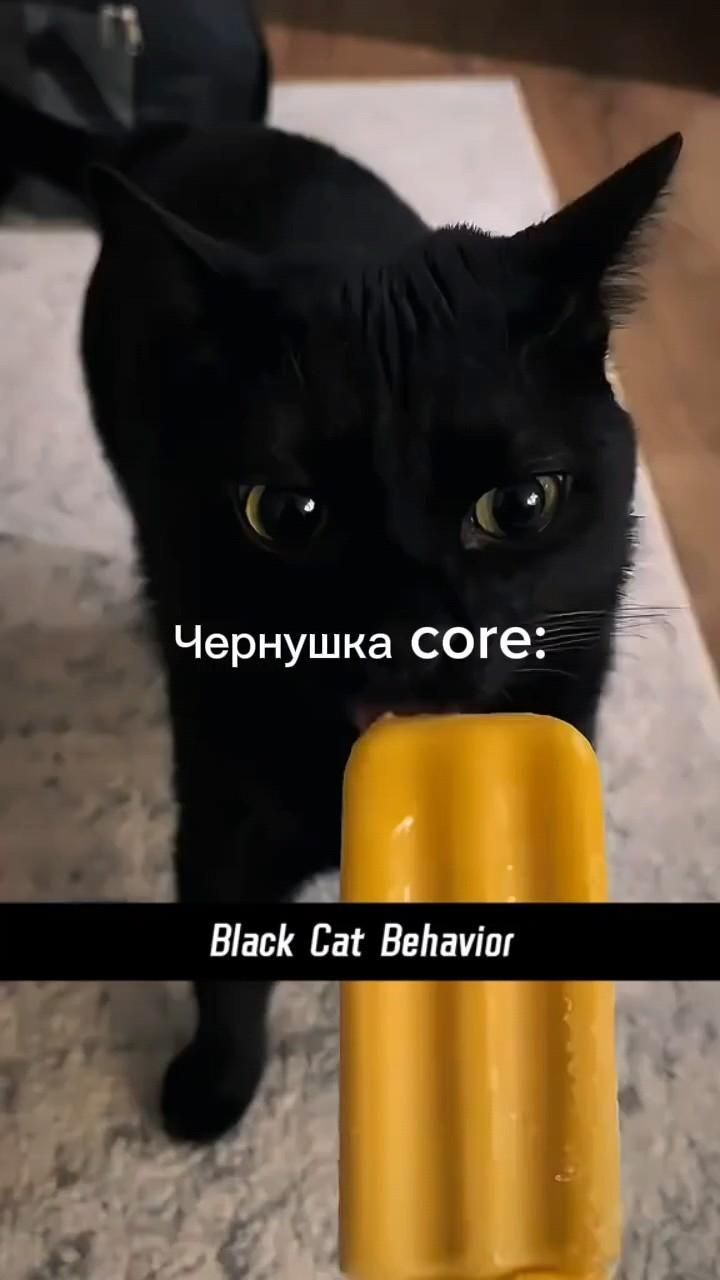 Π§Π΅ΡΠ½ΡΡΠΊΠ° core Π§Π΅ΡΠ½ΡΡΠΊΠ° core