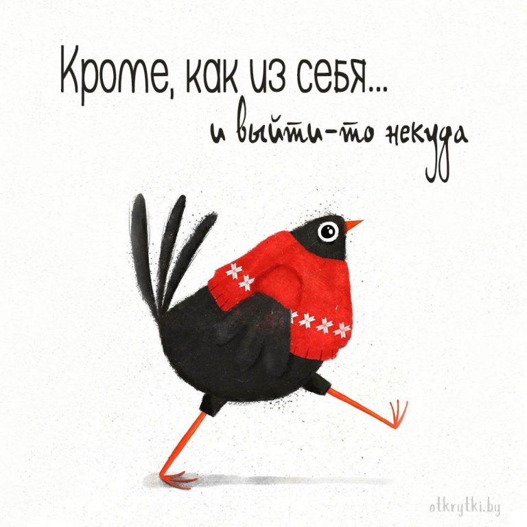 55+ креативных картинок с надписями о себе с юмором и сарказмом 55+ креативных картинок с надписями о себе с юмором и сарказмом