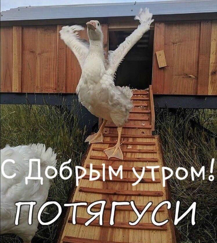 Π‘ ΠΠΎΠ±ΡΡΠΌ ΡΡΡΠΎΠΌ ! Π‘ ΠΠΎΠ±ΡΡΠΌ ΡΡΡΠΎΠΌ !