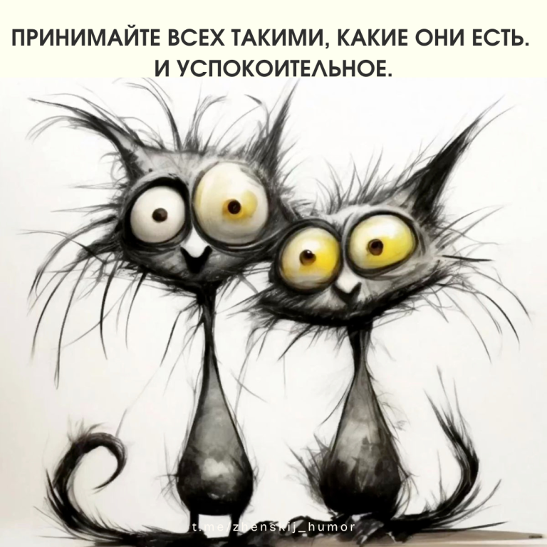 55+ креативных картинок с юмором 55+ креативных картинок с юмором