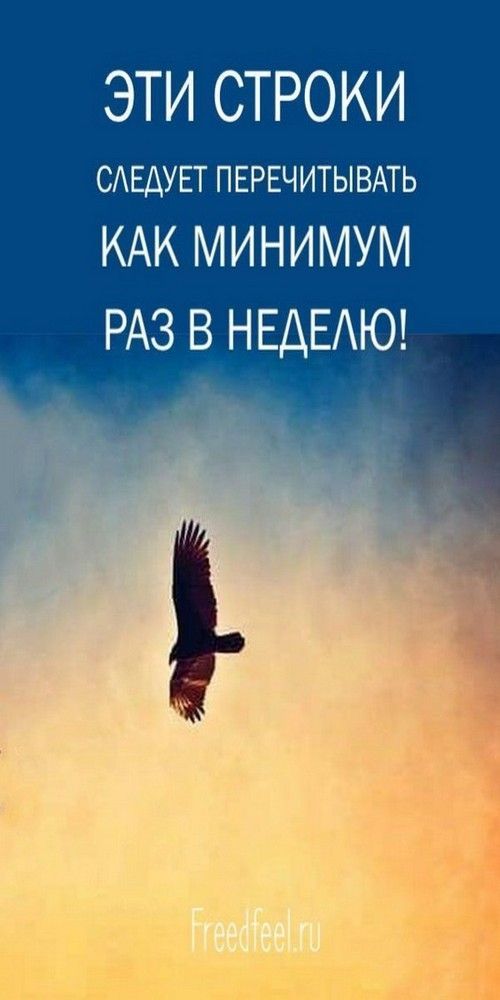 Эти строки следует перечитывать как минимум, раз в неделю! | one1szen Эти строки следует перечитывать как минимум, раз в неделю! | one1szen