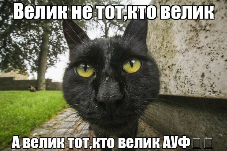 Мемы