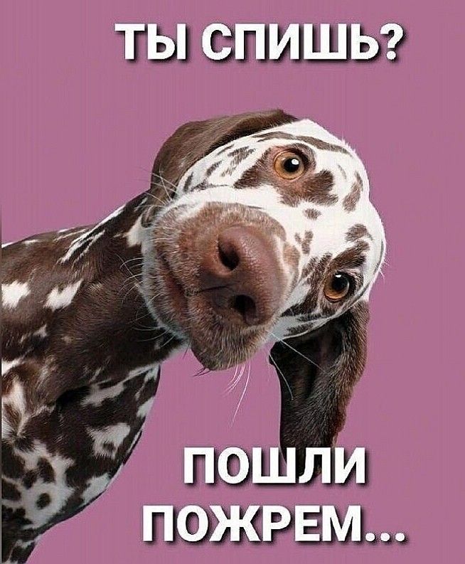 Ты спишь?